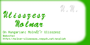 ulisszesz molnar business card